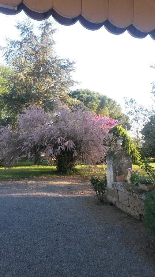 Domaine Mongiron Hotel Nérigean Buitenkant foto