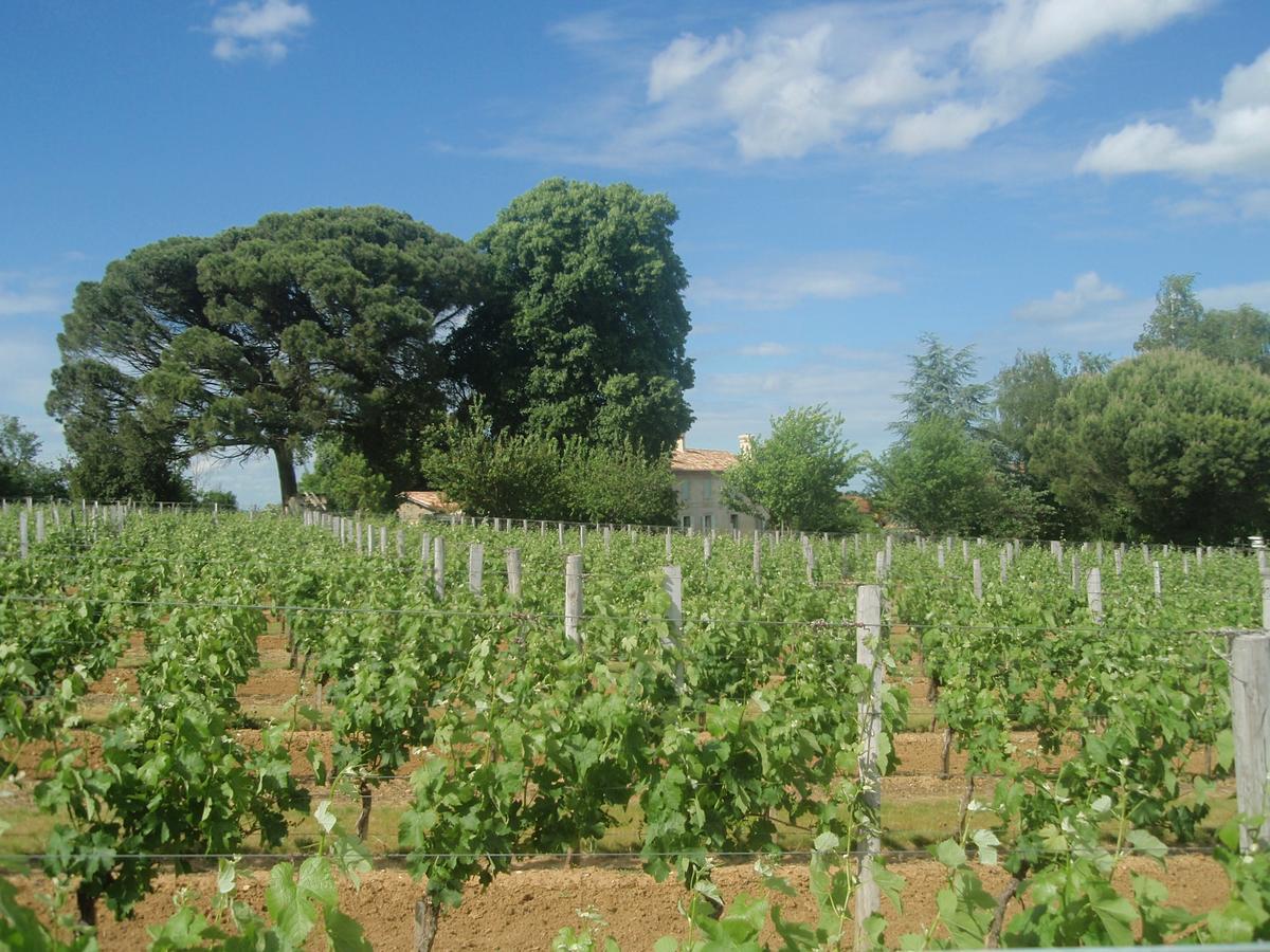 Domaine Mongiron Hotel Nérigean Buitenkant foto